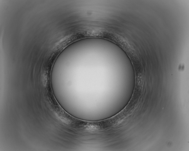 X0000090970741200708161835