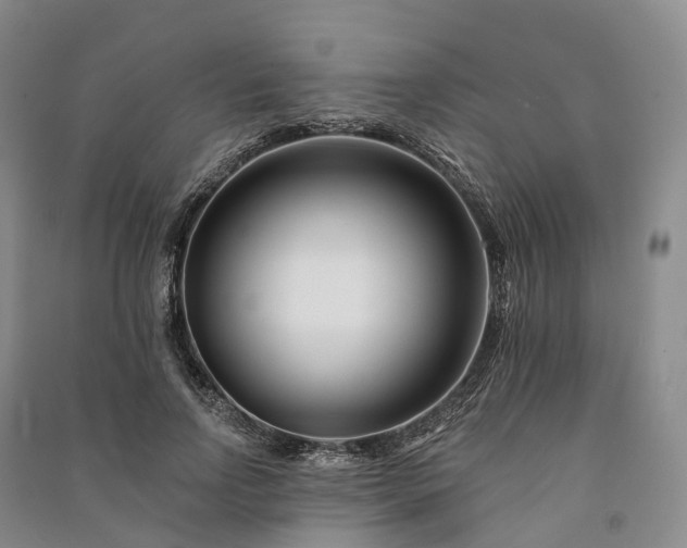 X0000090970742200708161835