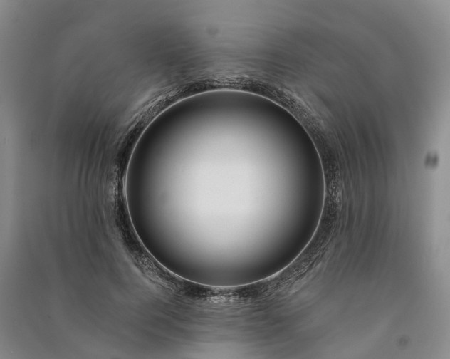 X0000090970744200708161835