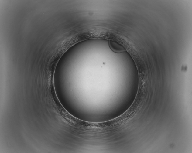 X0000090970745200708161835