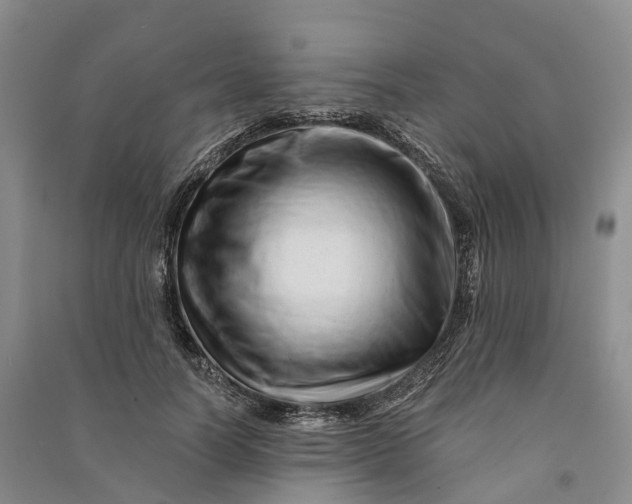 X0000090970746200708161835