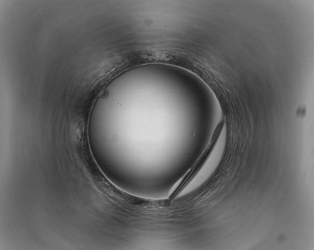 X0000090970747200708161835