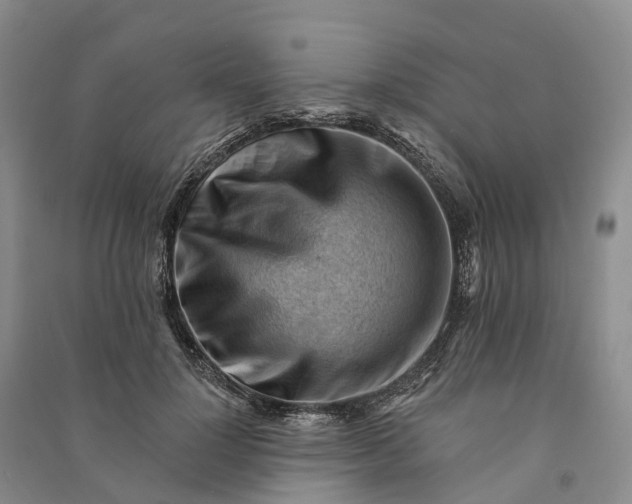 X0000090970748200708161835