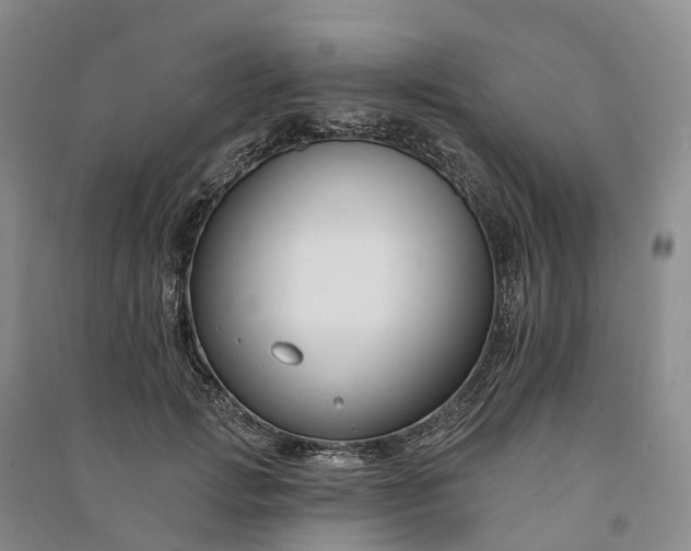 X0000090970749200708161835