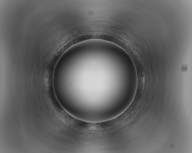 X0000090970750200708161835