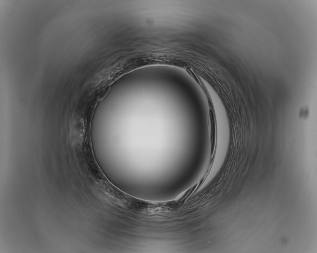 X0000090970752200708161835