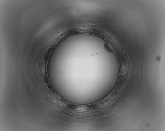 X0000090970753200708161835