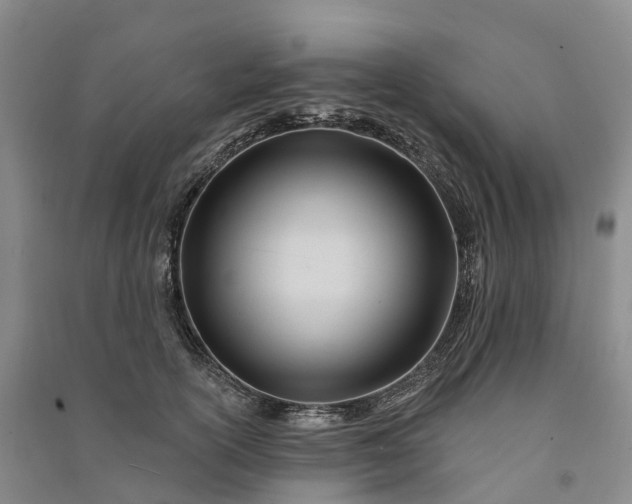 X0000090970754200708161835