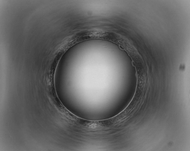 X0000090970755200708161835