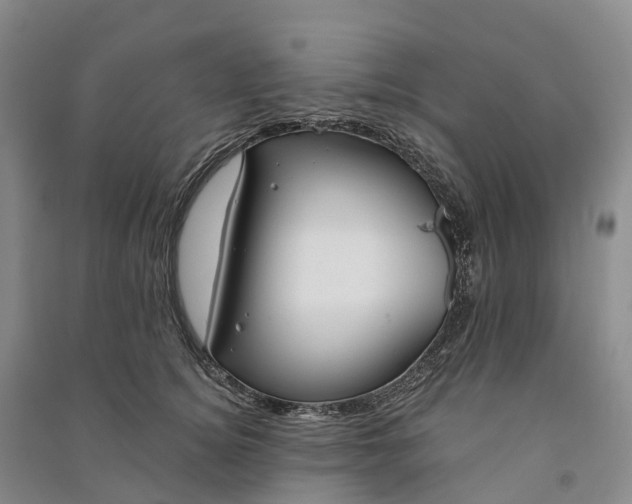 X0000090970756200708161835