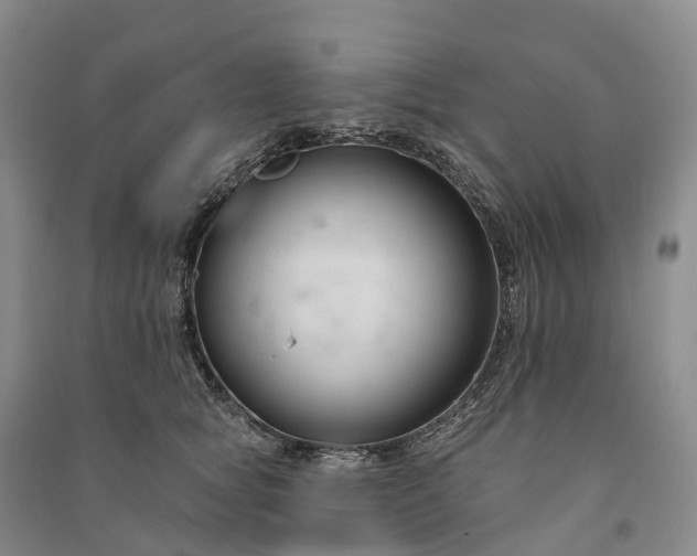 X0000090970757200708161835