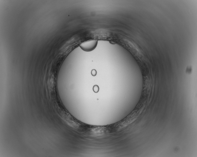 X0000090970761200708161835