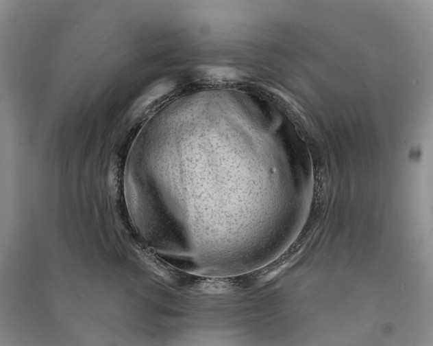 X0000090970762200708161835