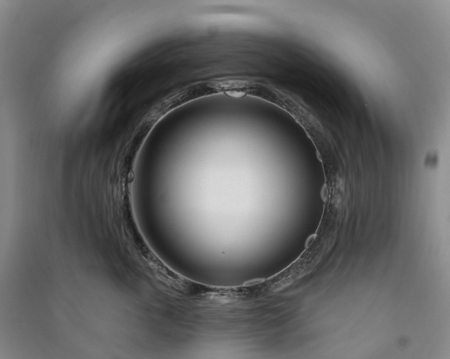 X0000090970763200708161835