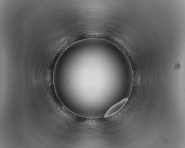 X0000090970764200708161835