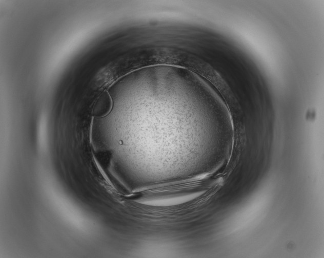 X0000090970765200708161835