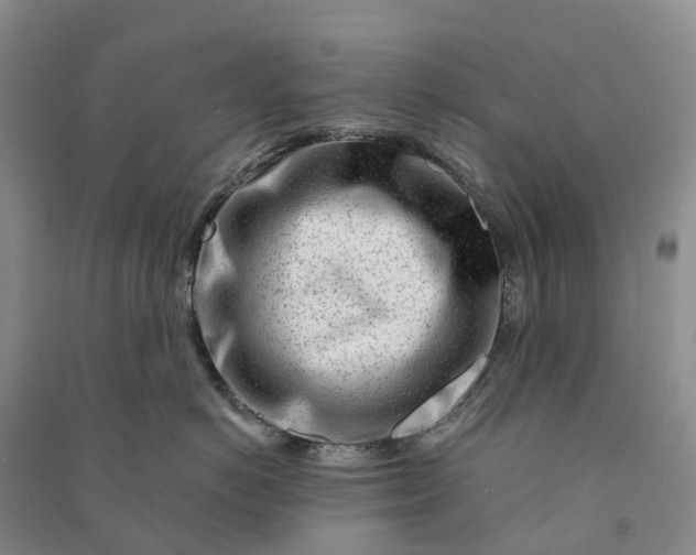 X0000090970766200708161836