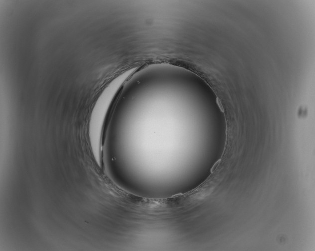 X0000090970768200708161836