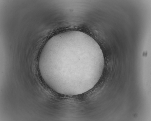 X0000090970769200708161835