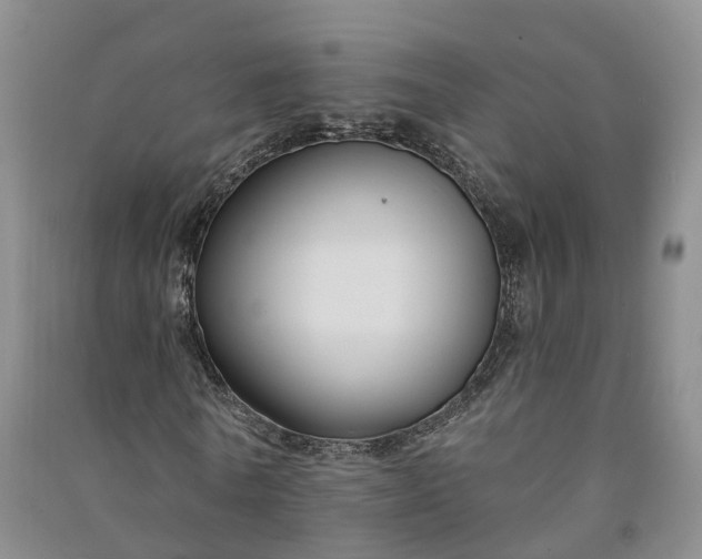 X0000090970770200708161835