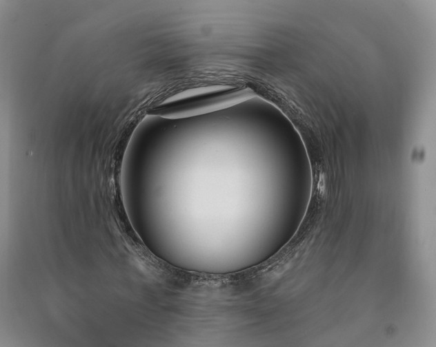 X0000090970771200708161835