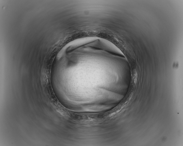 X0000090970772200708161835