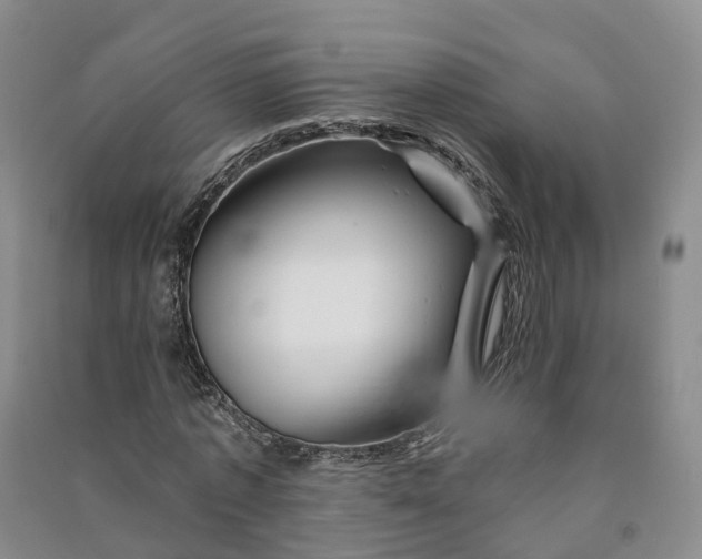 X0000090970773200708161835