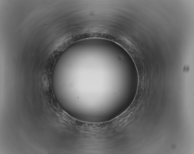 X0000090970774200708161835