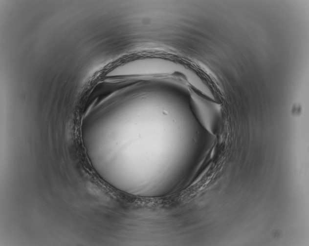 X0000090970775200708161835