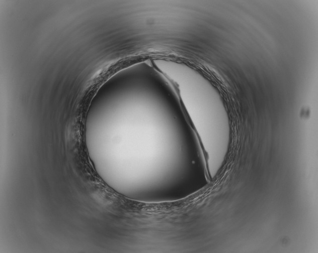 X0000090970776200708161835