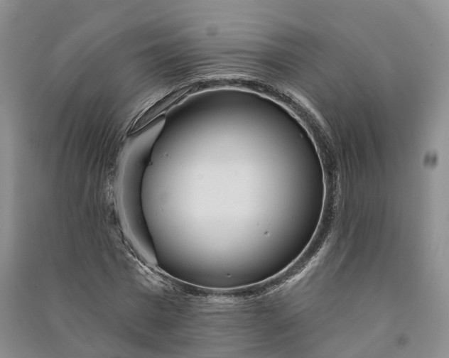 X0000090970777200708161835