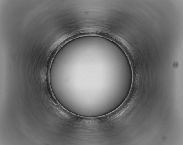 X0000090970778200708161835