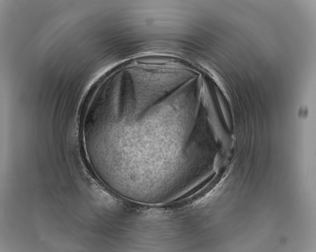 X0000090970779200708161835