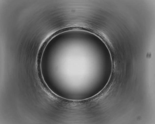 X0000090970780200708161835