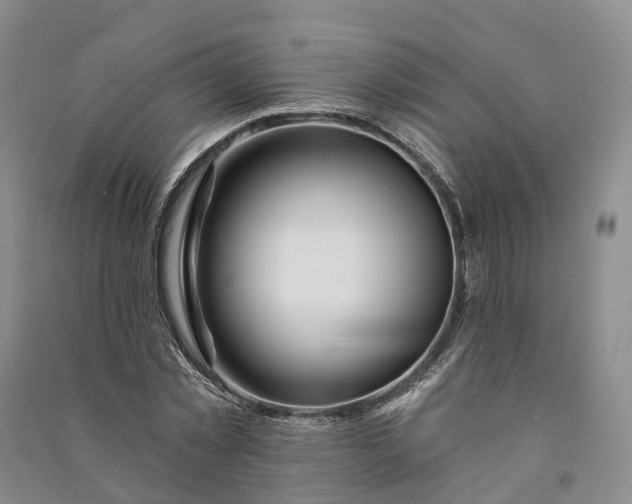 X0000090970781200708161835