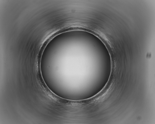 X0000090970782200708161835