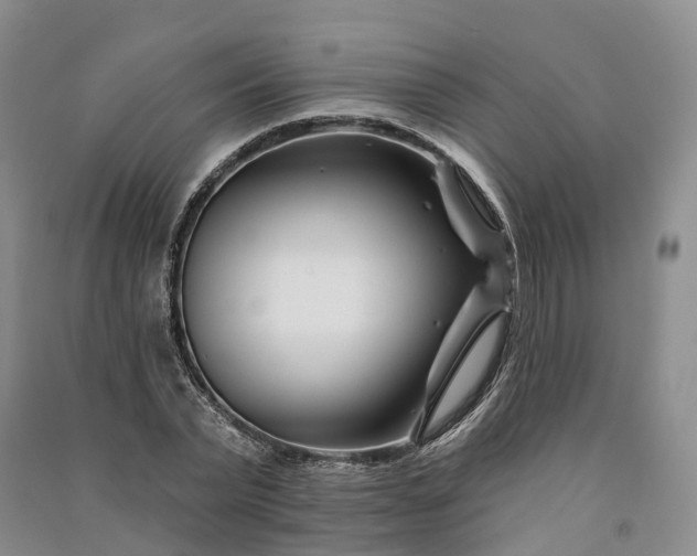 X0000090970783200708161835