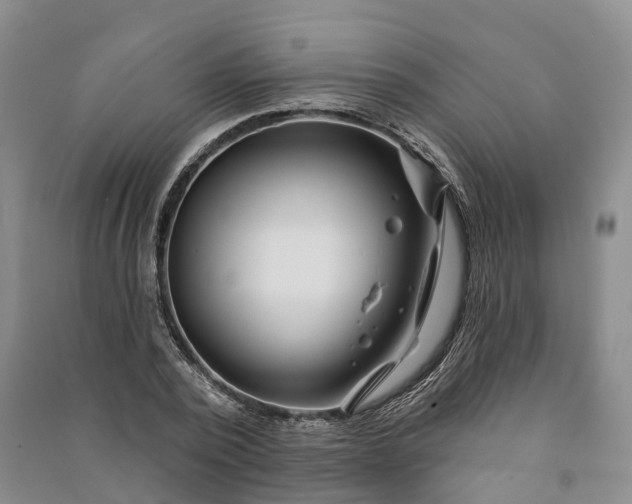 X0000090970784200708161835