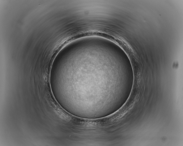 X0000090970785200708161835