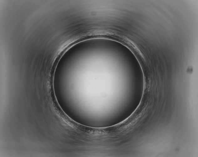 X0000090970786200708161835