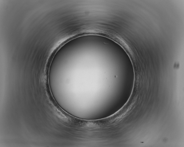 X0000090970787200708161835