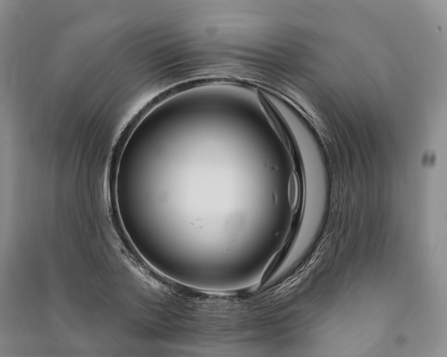 X0000090970788200708161835