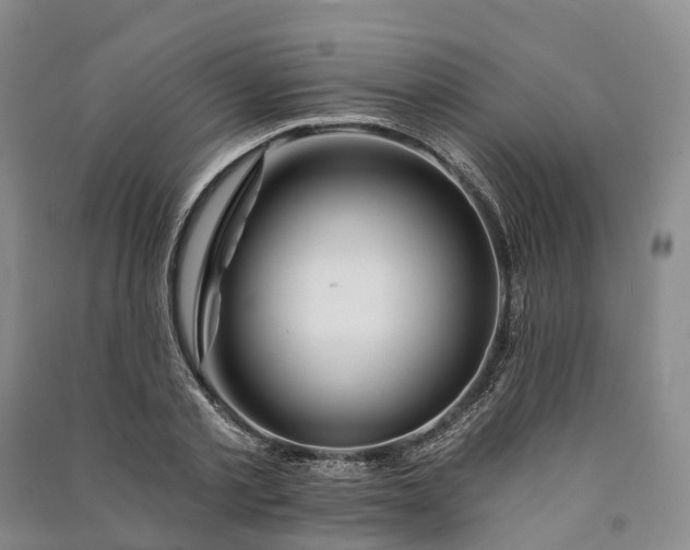 X0000090970789200708161835