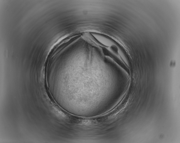 X0000090970790200708161835