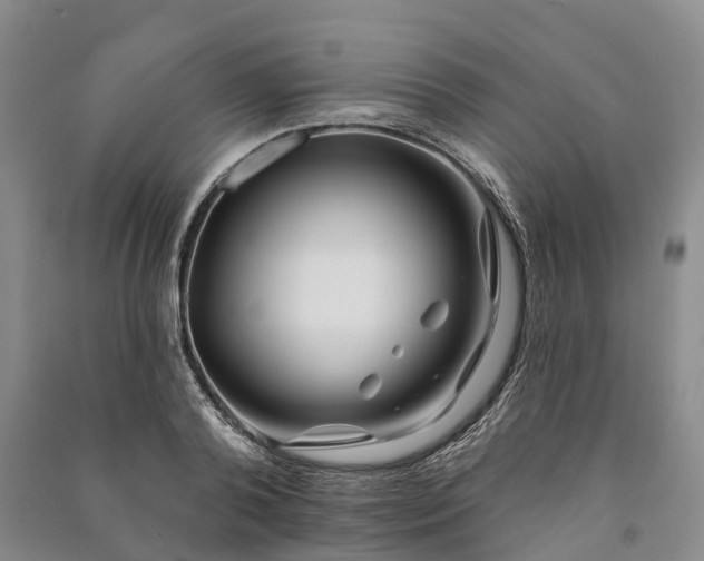 X0000090970792200708161835