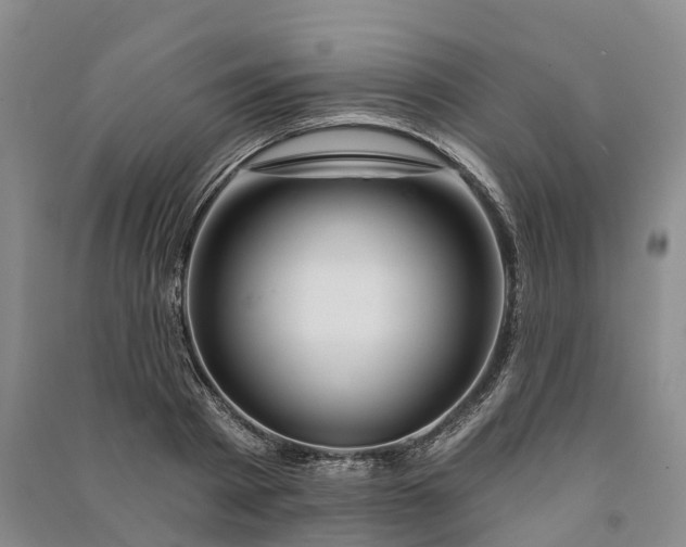 X0000090970793200708161835