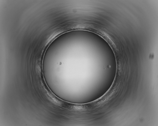 X0000090970794200708161835