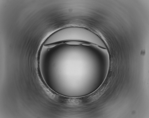 X0000090970795200708161835