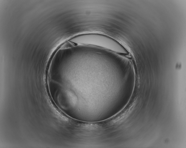 X0000090970797200708161835