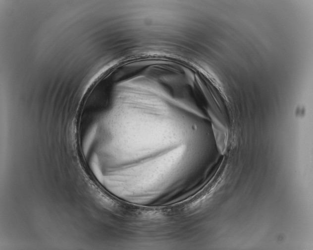 X0000090970798200708161835